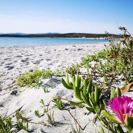 Insardinia House Trilocale A 200mt Dalla Apartmán