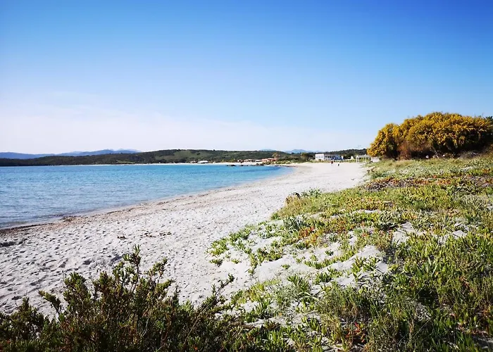Apartament Insardinia House Trilocale A 200mt Dalla Olbia