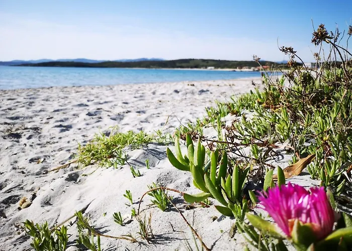 Insardinia House Trilocale A 200mt Dalla Apartament